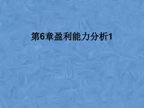 第6章盈利能力分析1