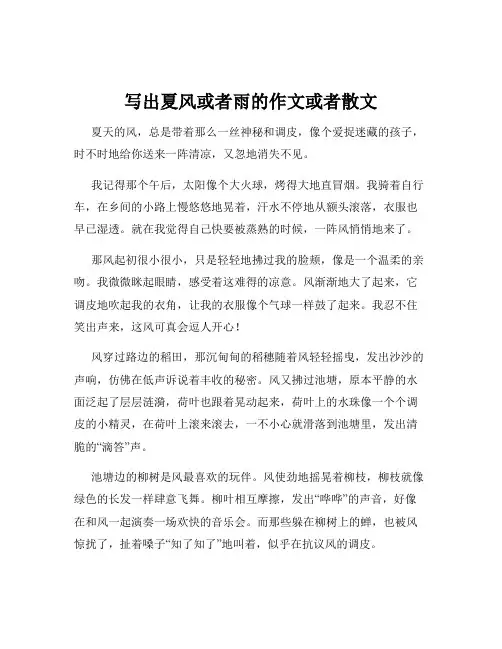 写出夏风或者雨的作文或者散文