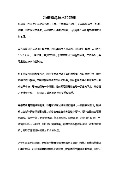 种植粉葛技术和管理
