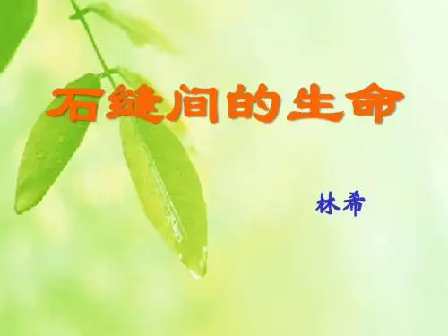 《石缝间的生命》PPT课件2