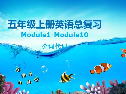 五年级英语上册总复习：介词代词(外研版)优秀版