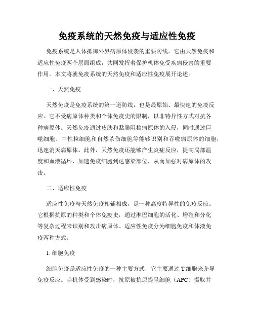 免疫系统的天然免疫与适应性免疫