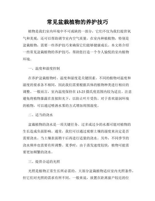 常见盆栽植物的养护技巧
