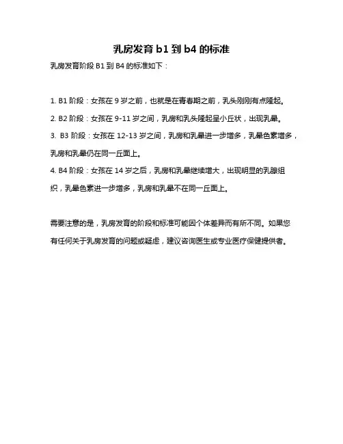 乳房发育b1到b4的标准