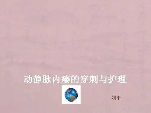 动静脉内瘘的穿刺与护理PPT课件