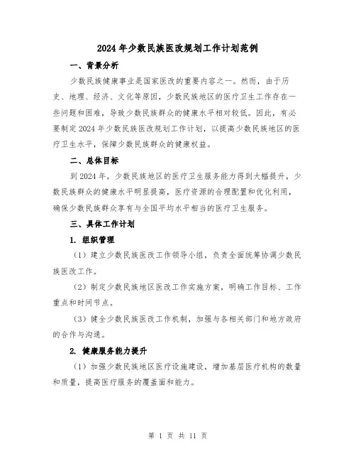 2024年少数民族医改规划工作计划范例（2篇）