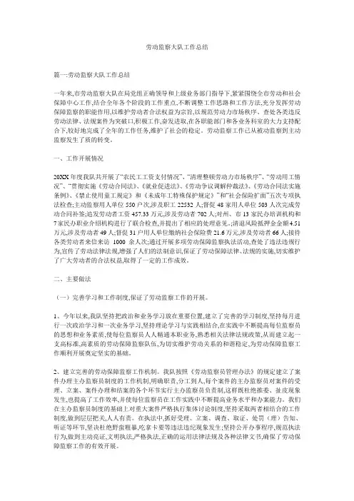 劳动监察大队工作总结
