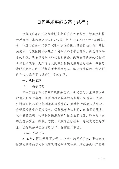 日间手术工作方案