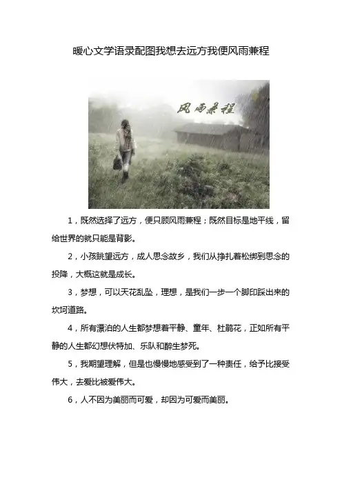 暖心文学语录配图我想去远方我便风雨兼程