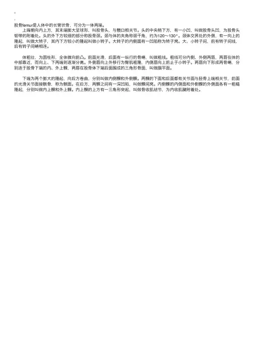 解剖指导：股骨的结构与解剖简述