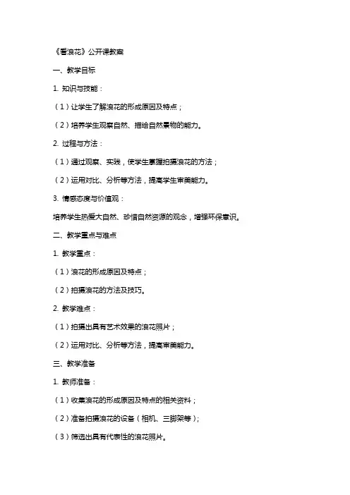 《看浪花》公开课教案