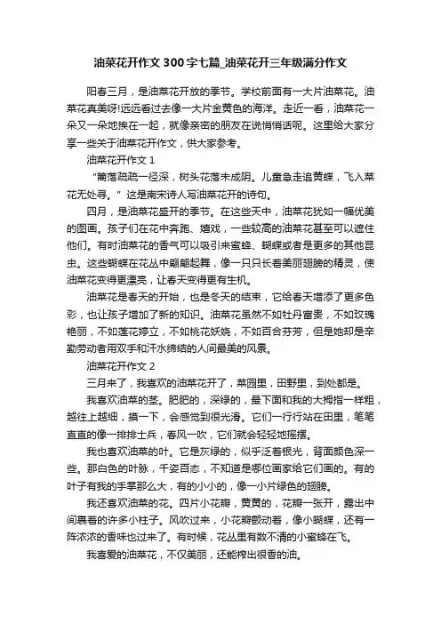 油菜花开作文300字七篇_油菜花开三年级满分作文
