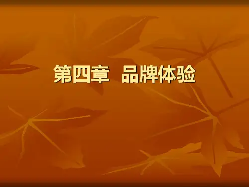 第四章 品牌体验