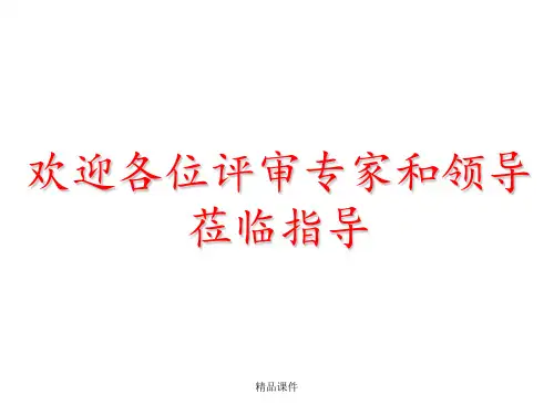 安全标准化体系运行情况汇报