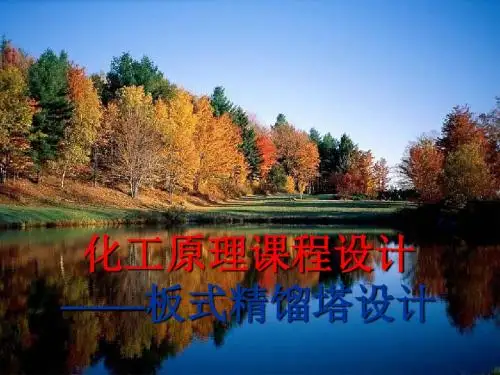 化工原理课程设计---板式精馏塔设计