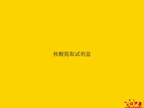 核酸提取试剂盒ppt正式完整版