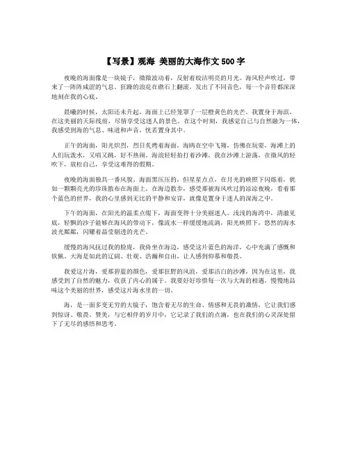【写景】观海 美丽的大海作文500字