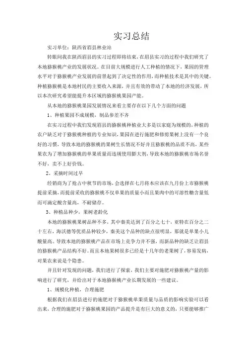 实习总结