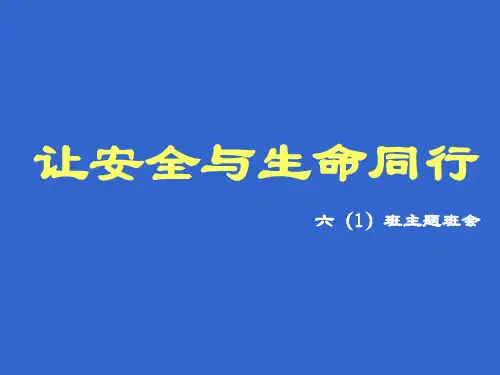 让安全与生命同行主题班会课件