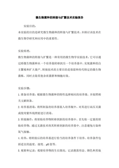 微生物菌种的转接与扩繁技术实验报告