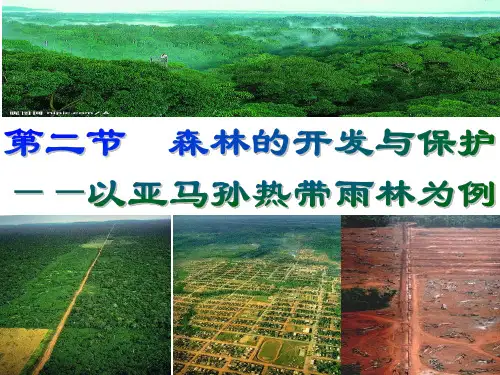 以亚马逊热带雨林为例-文档资料