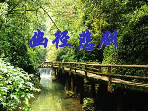 幽径悲剧PPT课件 
