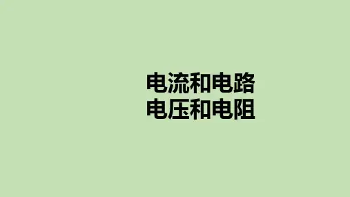 中考物理  专题复习第13讲  电流和电路  电压和电阻
