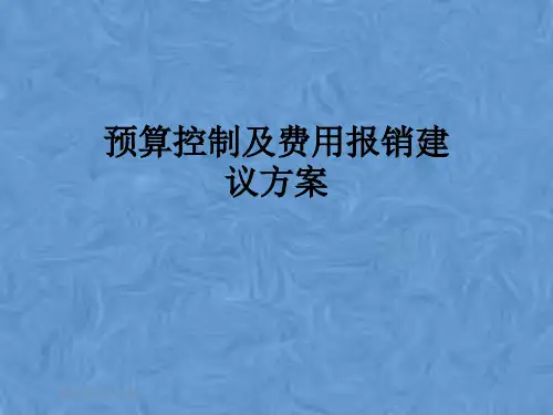 预算控制及费用报销建议方案