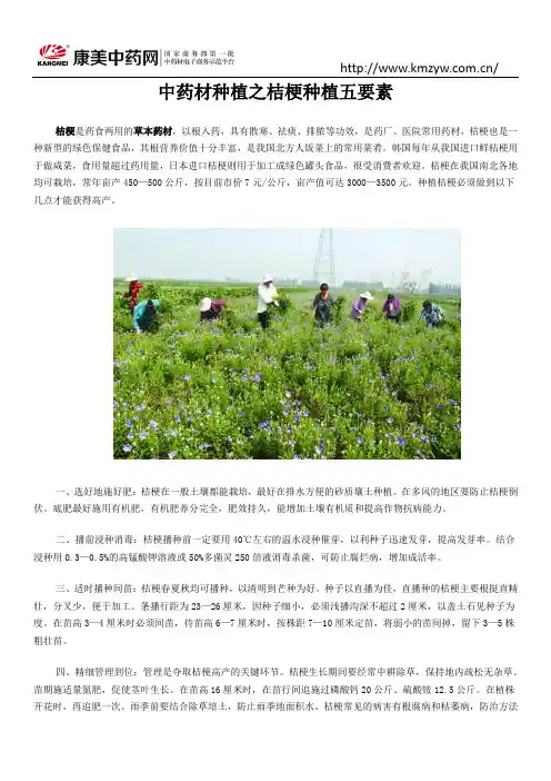 中药材种植之桔梗种植五要素