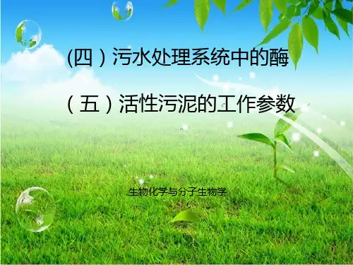 活性污泥中的酶和工艺参数
