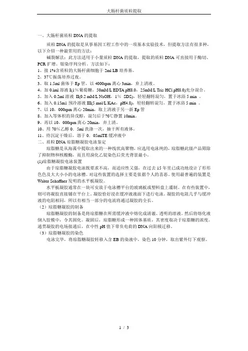 大肠杆菌质粒提取