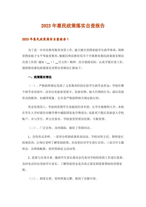 2023年惠民政策落实自查报告_2