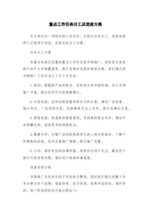 重点工作任务分工及进度方案