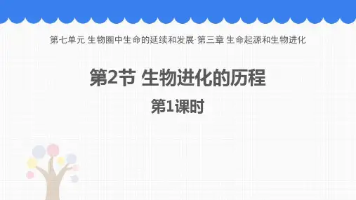 人教版八年级生物下册《生物进化的历程》PPT优质课件