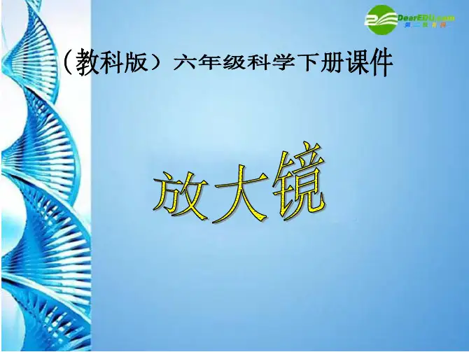 六年级科学下册 放大镜(三)课件 教科版