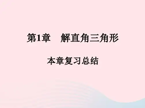 第一章解直角三角形本章复习总结+练习课件+2023—2024学年浙教版数学九年级下册