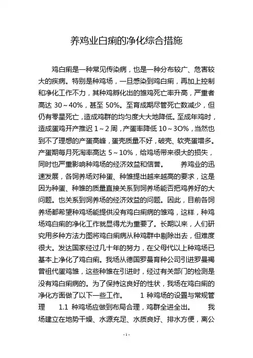 养鸡业白痢的净化综合措施