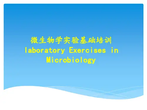 微生物基础实验培训ppt
