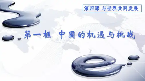 中国的机遇与挑战 课件(部编版九年级下册道德与法治)