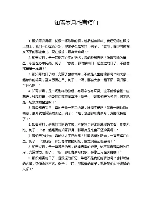 知青岁月感言短句