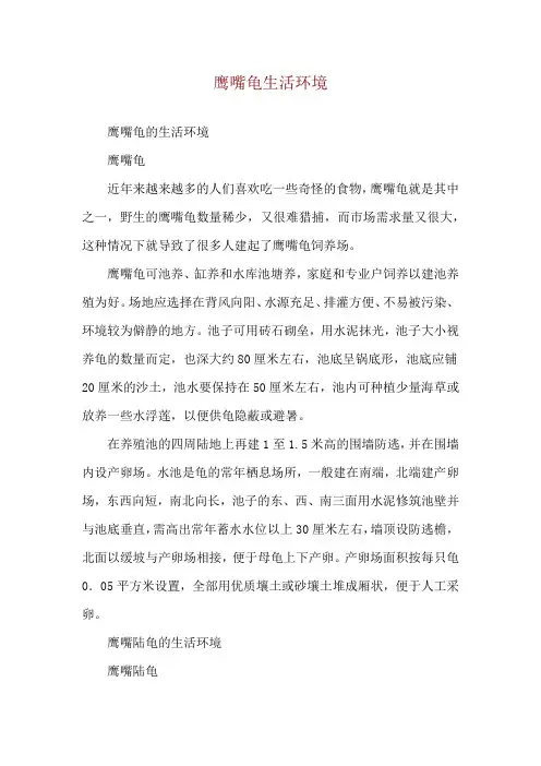 鹰嘴龟生活环境