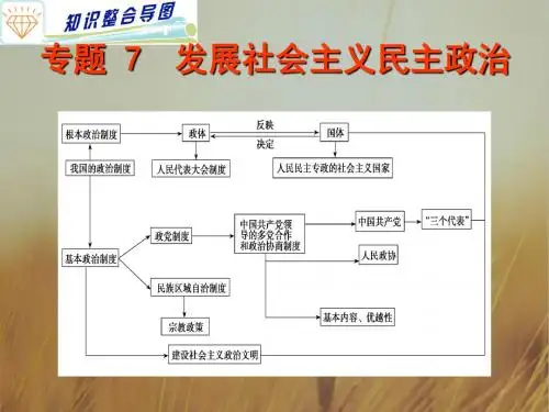 最新-2018高考政治专题复习 7发展社会主义民主政治课件 精品