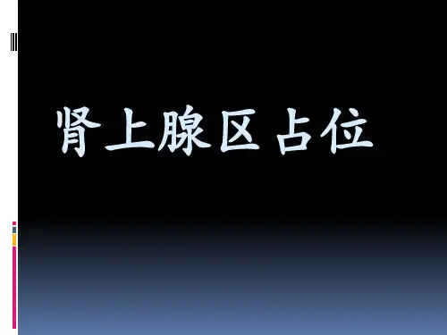 肾上腺区占位的影像诊断PPT课件