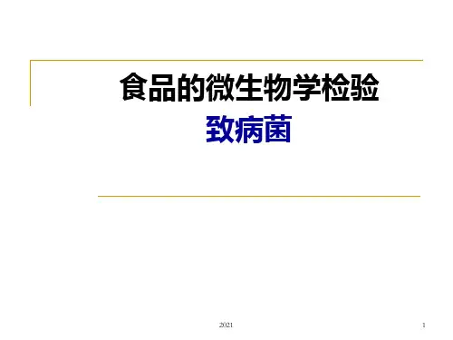 微生物检测技术--金黄色葡萄球菌检测PPT课件