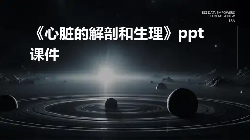 《心脏的解剖和生理》课件