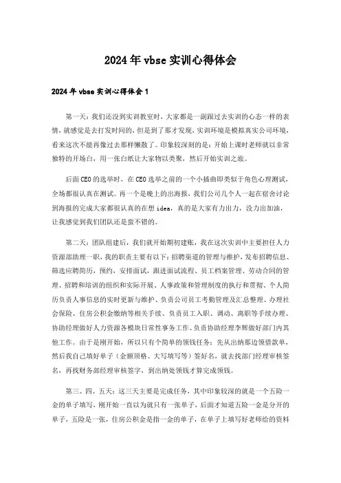 2024年vbse实训心得体会_1