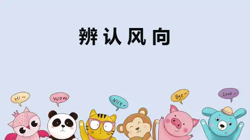 大象版三年级科学上册 (辨认风向)课件