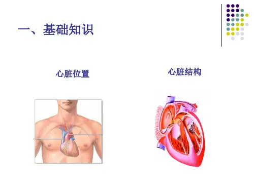 心肺复苏cprppt课件