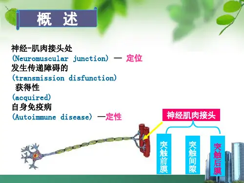 重症肌无力护理查房ppt课件