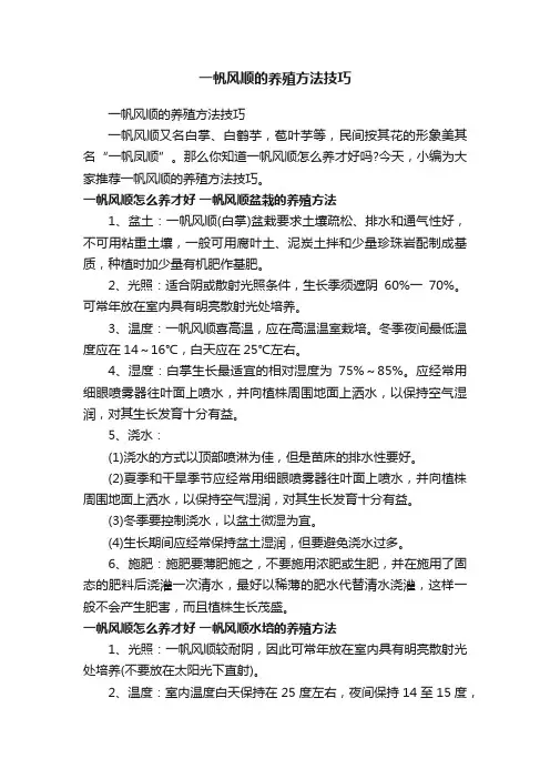 一帆风顺的养殖方法技巧